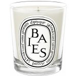 Diptyque Baies 190 g – Zboží Dáma