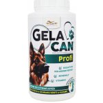 Orling Gelacan Plus Profi 1000 g – Hledejceny.cz