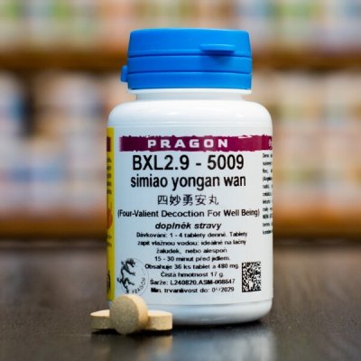 Pragon BXL2.9 5009 36 tablet – Hledejceny.cz
