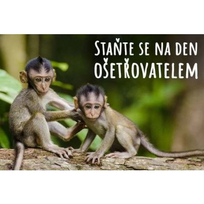 Staň se ošetřovatelem v ZOO Tábor – Hledejceny.cz