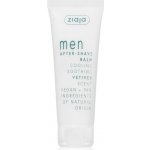 Ziaja Men Vetiver balzám po holení 80 ml – Zboží Dáma Ziaja Men Vetiver balzám po holení 80 ml – Zboží Dáma