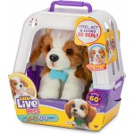 Cobi Little Live Pets Moje opravdové štěňátko 26548 – Zboží Dáma