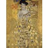 Obraz Obraz na plátně Klimt Portrait Of Adele 57x77 cm