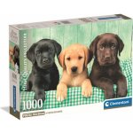 Clementoni Tři labradoři HQC 1000 dílků – Hledejceny.cz