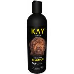 Kay Šampon pro snadné rozčesání 250 ml – Hledejceny.cz