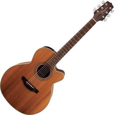 TAKAMINE GN20CE