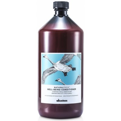 Davines NATURALTECH Well-Being hydratační kondicionér 1000 ml – Zboží Dáma