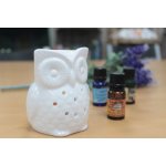 AromaFactory Sova Bílá Keramická Aroma Lampa 7 x 10 cm – Zboží Mobilmania