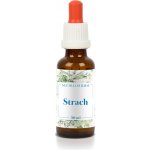 Bachovy květové esence STRACH 30 ml – Hledejceny.cz