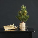 STAR TRADING Dekorativní svítící stromeček Tree 35cm zelená barva plast – Hledejceny.cz