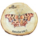 Lesní svět Magnet letokruh Babočka bílé C – Zbozi.Blesk.cz