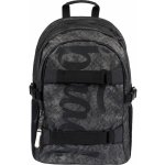 Baagl Skate Ash A 30501 šedá – Hledejceny.cz