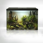 Aquael Leddy Day & Night 60 XL akvarijní set 72 l – Zboží Dáma