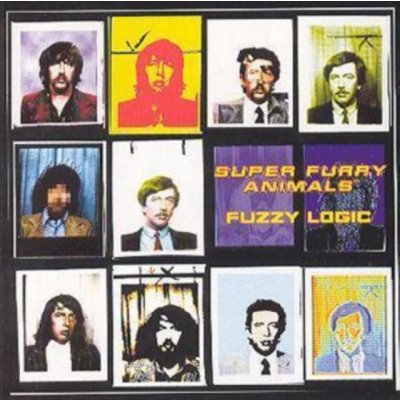 Super Furry Animals FUZZY LOGIC