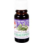 Slow-Natur Essential vonný olej Eukalyptus 10 ml – Zbozi.Blesk.cz