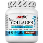 Amix Collagen Marine peptan drink chocolate 300 g – Hledejceny.cz