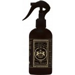Dear Barber Sea salt texturising spray 250 ml – Zboží Mobilmania