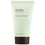 Ahava Dead Sea Water minerální sprchový gel 40 ml – Hledejceny.cz