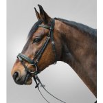 Waldhausen Uzdečka Star Diamond zelená – Zboží Dáma