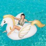 Bestway 41118 Pegas – Zboží Dáma