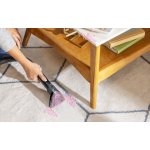 Bissell SpotClean C5 Pro 3931N – Hledejceny.cz