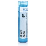 ALLIUM CEPA POR 9CH GRA 1X4G – Hledejceny.cz