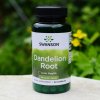 Doplněk stravy na močové a pohlavní orgány Swanson Dandelion Root Pampeliška kořen 515 mg 60 kapslí