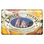 Nesti Dante Dolce Vivere mýdlo Capri 250 g – Zbozi.Blesk.cz