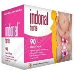 Synergia Indonal Forte 90 kapslí – Zboží Dáma
