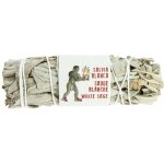 Botanic White Sage California Vykuřovadlo 1 ks – Hledejceny.cz