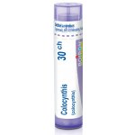 COLOCYNTHIS POR 30CH GRA 1X4G – Hledejceny.cz