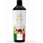 Giovani Koncentrovaný parfém na praní ITALIANO 500 ml – Zboží Mobilmania