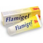 Flamigel hydrokoloid. gel na hojení ran 250 ml – Hledejceny.cz