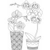 Kreslící šablona Pískohraní s.r.o. Šablona Orchidej 420 x 594 mm