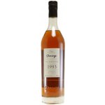 Darroze Armagnac 1993 Domaine De Salie 50% 0,7 l (karton) – Zboží Dáma