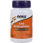 Now Foods Probiotikum 4x6 Acidophilus 60 kapslí – Hledejceny.cz