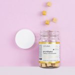 Venira Vitamíny pro těhotné ženy 1.-3. trimestr ve formě kostiček černý rybíz 60 kapslí – Zboží Mobilmania