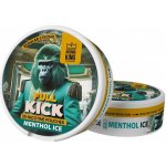Aroma King Full Kick menthol ice 20 mg/g 25 sáčků – Zbozi.Blesk.cz