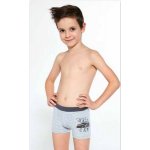 Cornette Kids Boy 701/106 Race Car 3 chlapecké boxerky šedý jasny – Hledejceny.cz