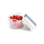 Rotho RT1025606161Speciální box na ovoce a zeleninu s ventilací a filtrem Fridge Fresh modrý 1,6 l – Sleviste.cz