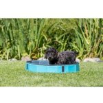 Trixie Bazén pro psy 70 x 12 cm – Hledejceny.cz