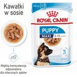 Royal Canin Puppy Maxi 10 x 140 g – Hledejceny.cz