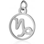 Přívěsek Znamení Zvěrokruhu chirurgická ocel - Znamení zvěrokruhu KOZOROH TC 453 – Hledejceny.cz