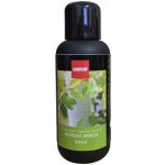 Harvia esence do sauny severská bříza 100 ml – Hledejceny.cz