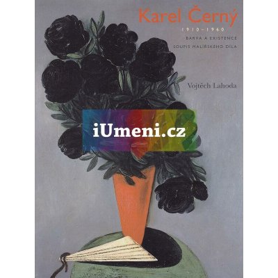 Karel Černý 1910-1960 -- Barva a existence. Soupis malířského díla - Lahoda Vojtěch – Hledejceny.cz
