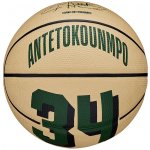 Wilson NBA Player Icon – Zboží Dáma