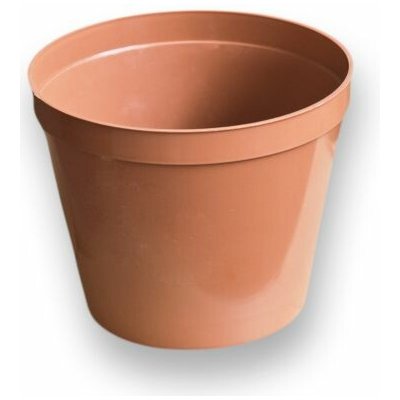 květ. d10cm Standard TER – Hledejceny.cz