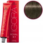 Schwarzkopf Igora Royal popelavá tmavá blond 6-1 60 ml – Sleviste.cz