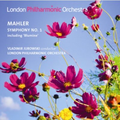 Mahler Gustav - Symphonie No.1 CD – Hledejceny.cz