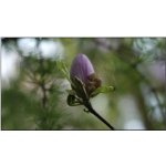 Samsung UD46E – Zbozi.Blesk.cz